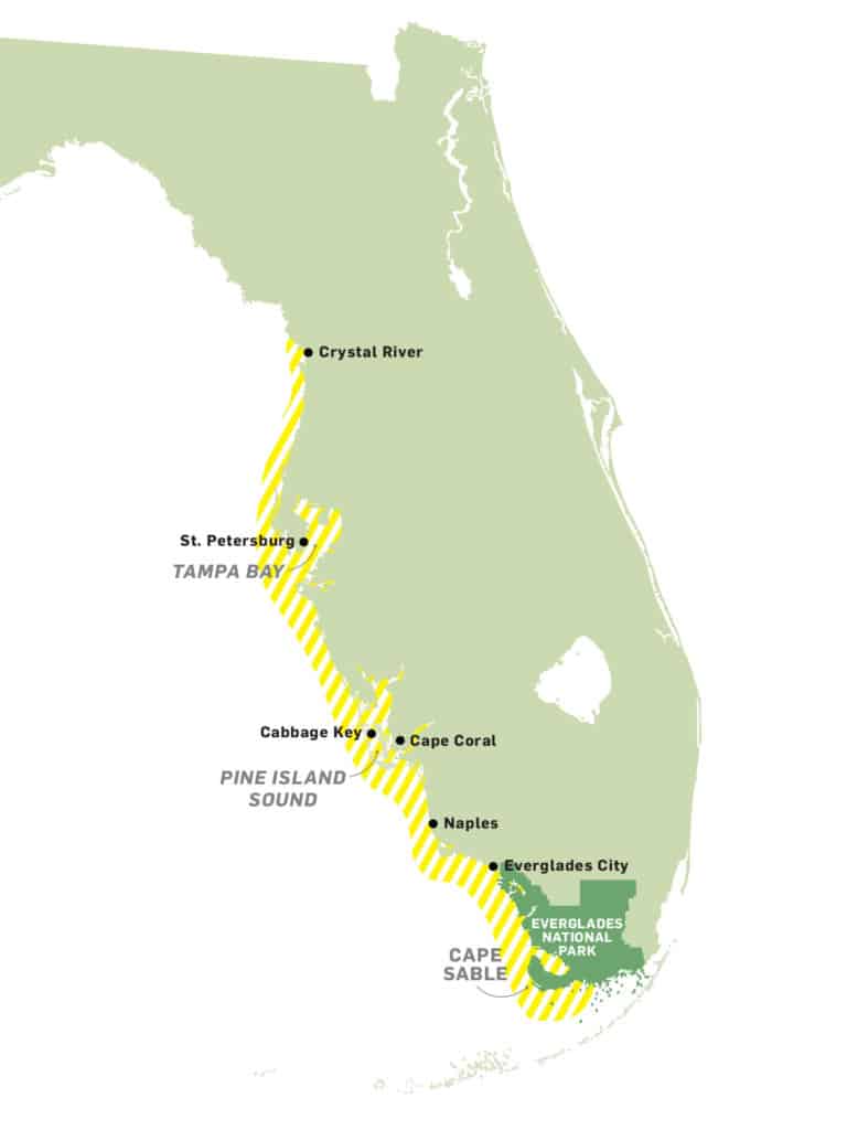 snook fishing spots in Florida