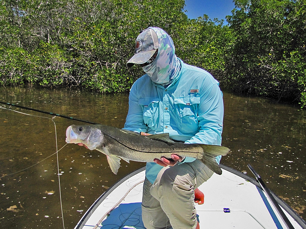 Snook often hang out in small waters with lots of obstacles that hinder fly casting.