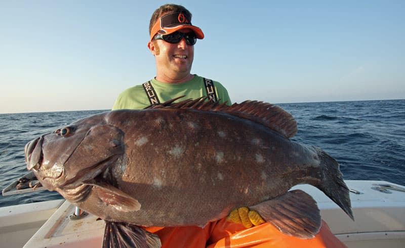 world record snowy grouper