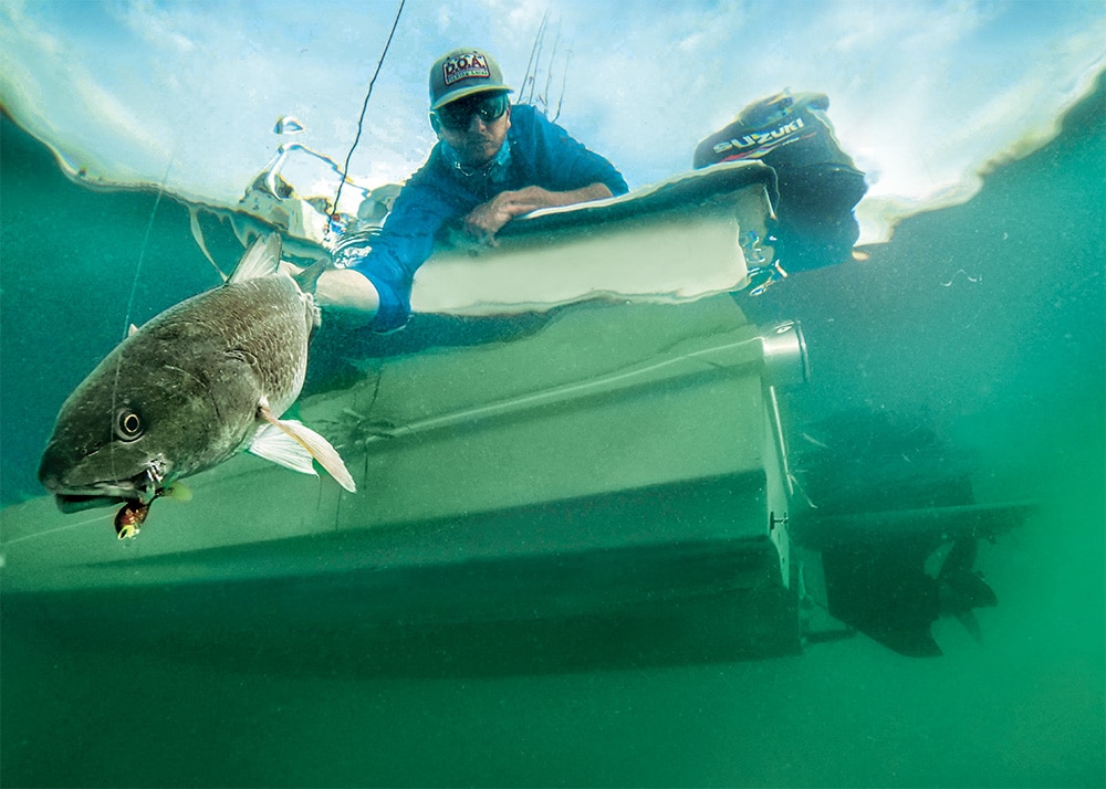 Catching fish using soft-plastic lures