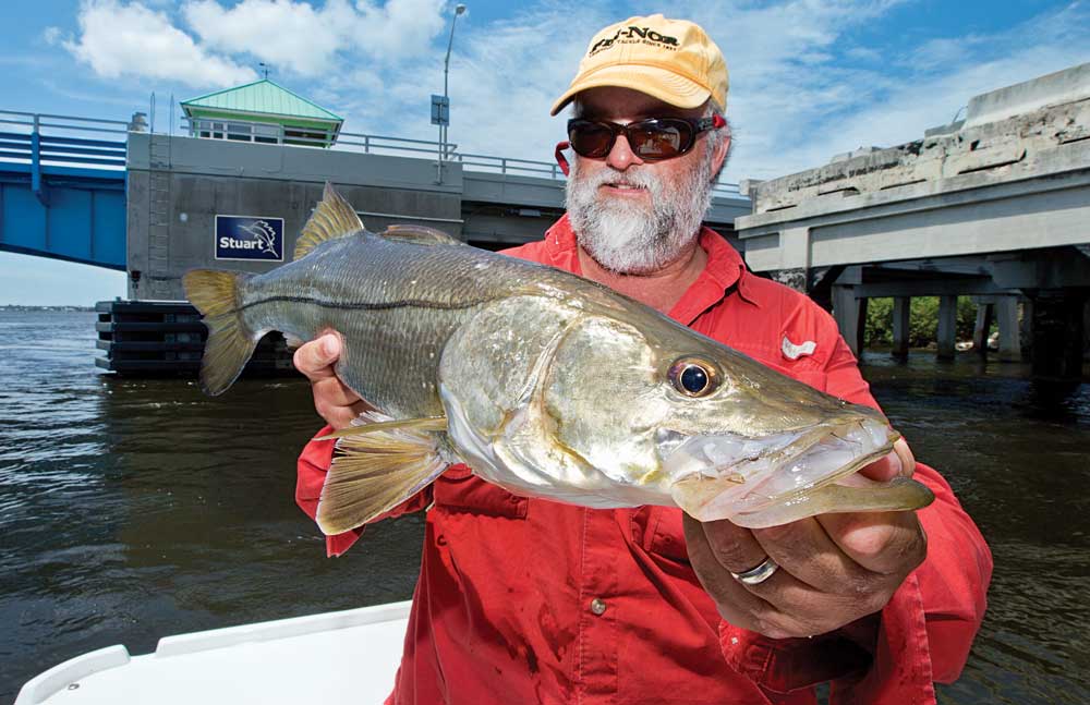 southeast-florida-snook-01.jpg