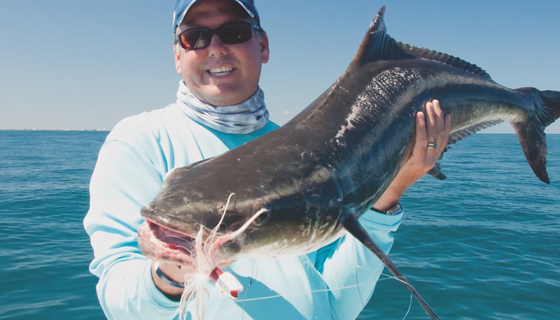 space coast cobia