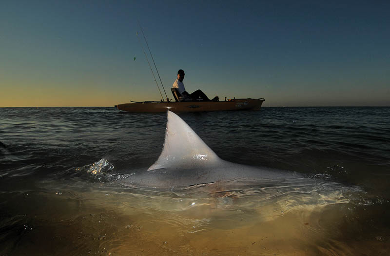 spf0512_kayak_4.jpg