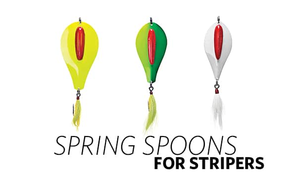 spoons for stripers