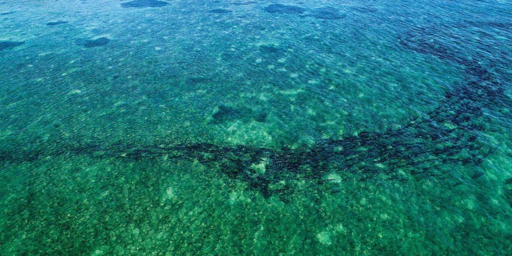 Spring Mullet Run in the Southeast Kicks off the Season