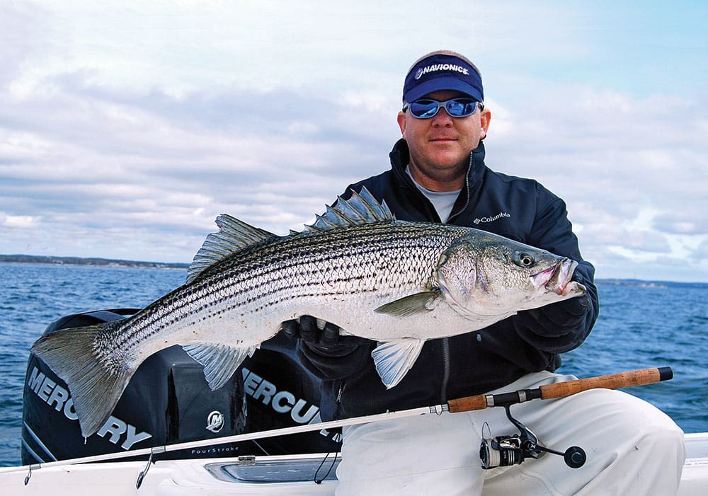 Spring Striped Bass