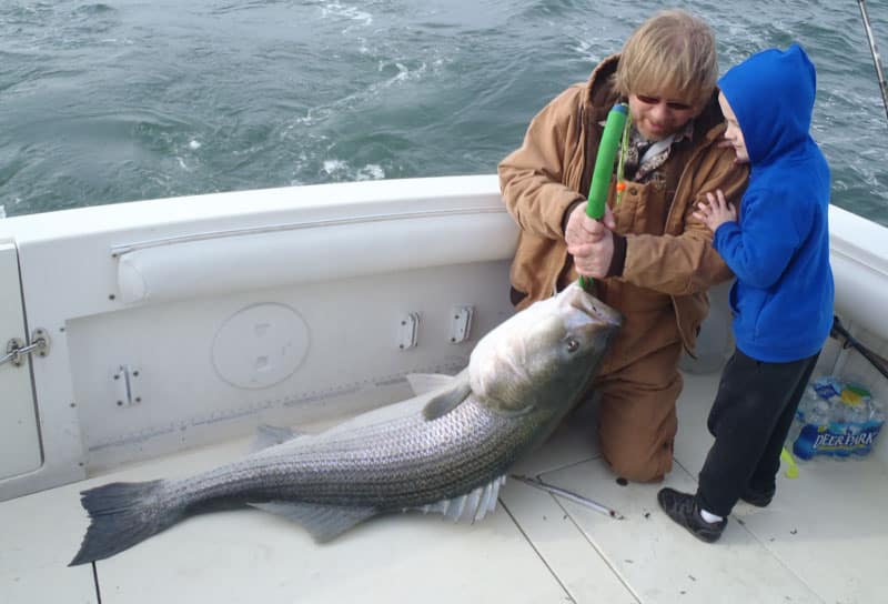 striped bass VA record