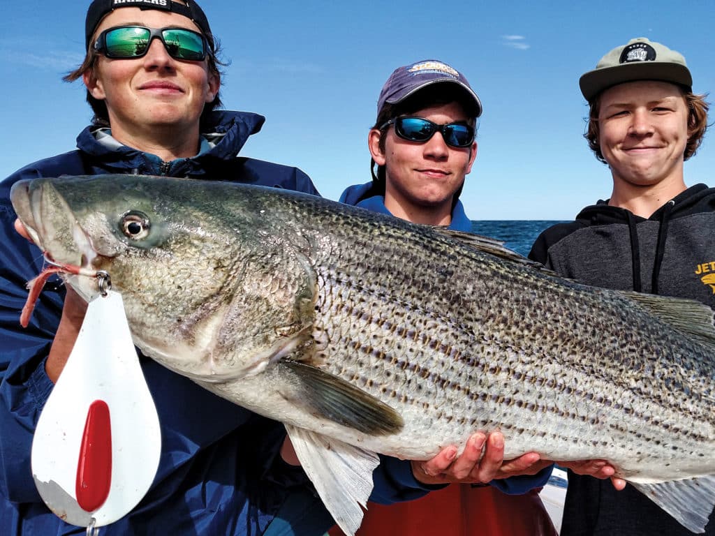 Giant striped bass feed recklessly when menhaden congregate along the New Jersey coast.