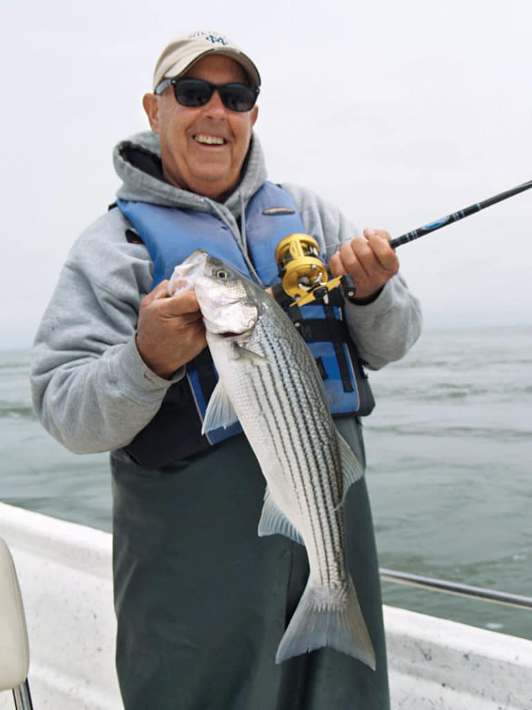 striped bass