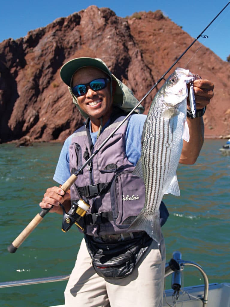 How To Catch West Coast Striped Bass