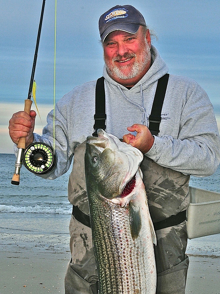 Striped bass caught on the beach