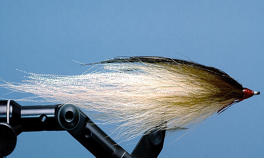 large bucktail fly pattern for trophy striped bass