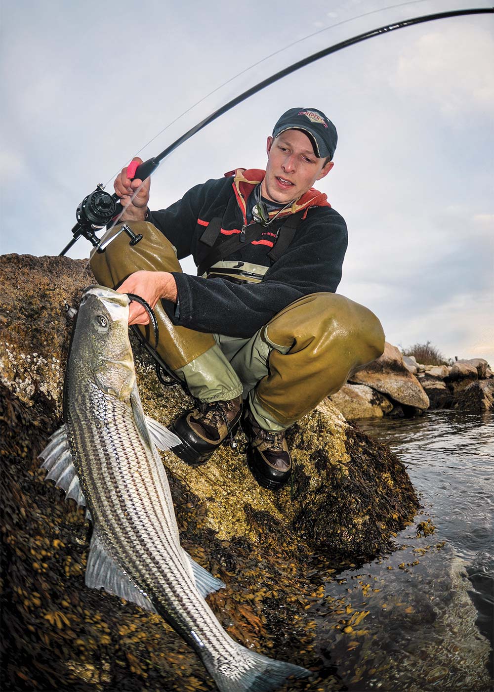 New lures for striped bass Fishing in canada