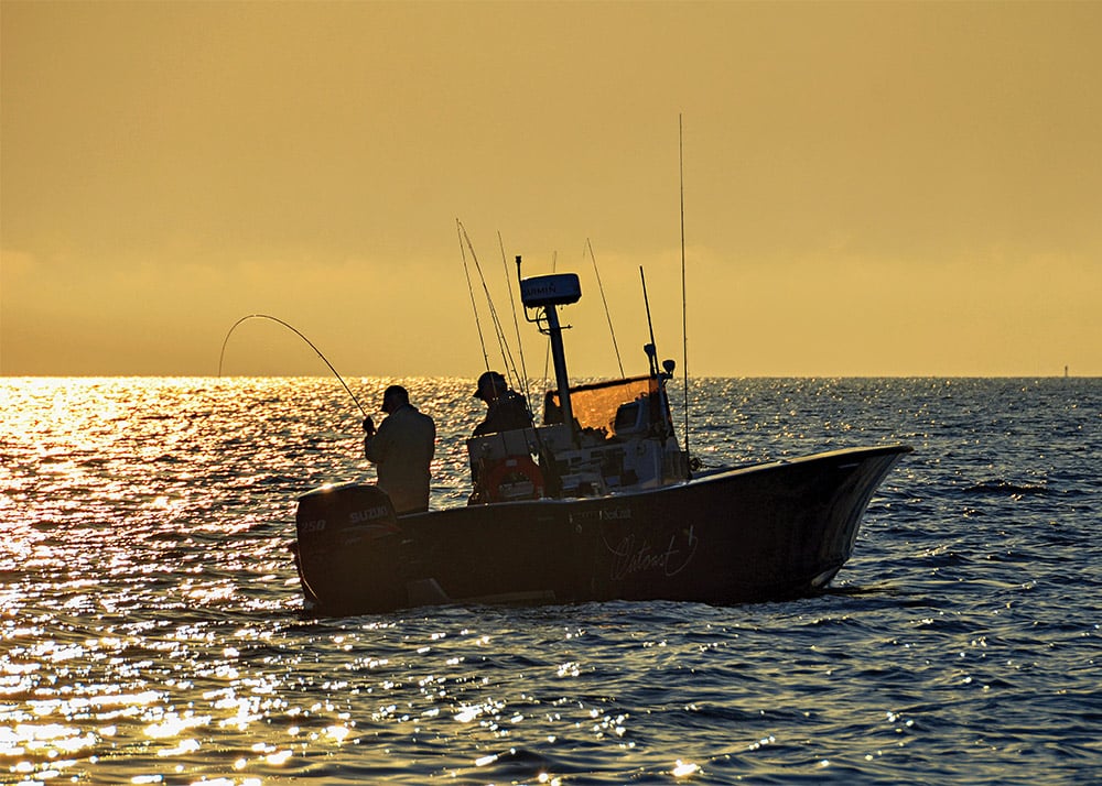 How to Fish for Striped Bass