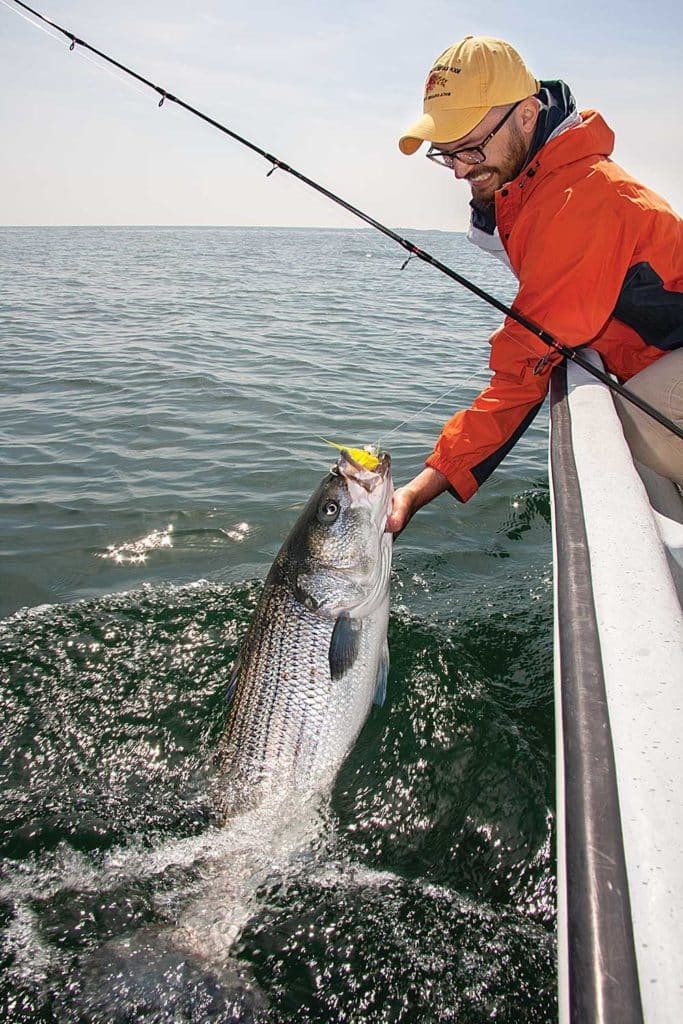 How to Fish for Striped Bass