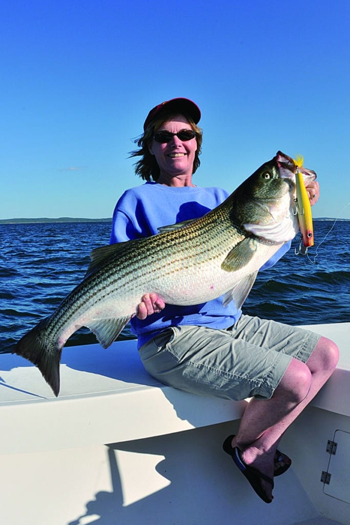 striped bass poppers and swimmers