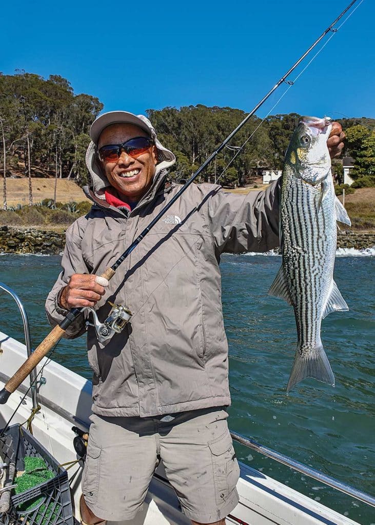 Worms in Striped Bass