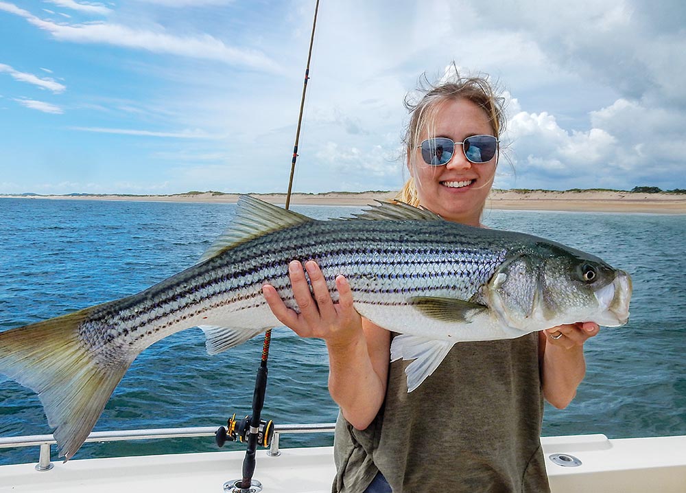 All About Striped Bass