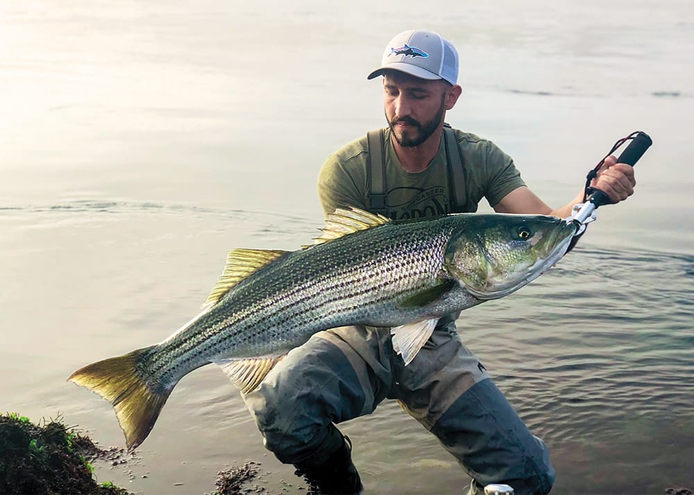 Striped Bass on the Flats