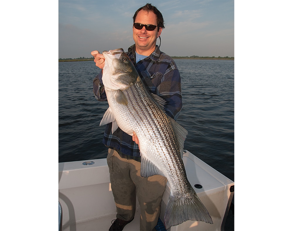 stripers-poppers-01.jpg