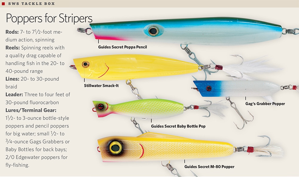 stripers-poppers-05.jpg