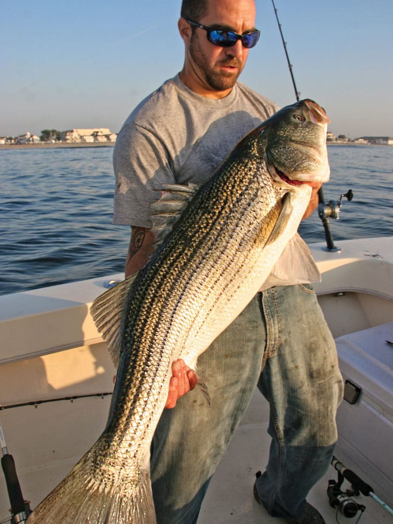 Spring and summer is the best time of year to target both stripers and redfish at once in Maryland and Virginia, and fall and winter are best in North Carolina.