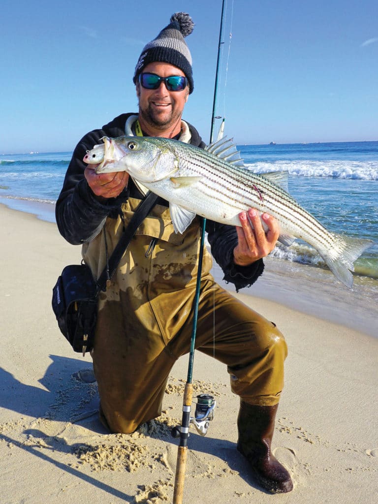 Stripers and reds use the currents to push bait around and they hang on the edges of rip tides in the cuts and sloughs of the shoals.