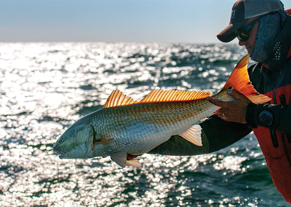 Fall Fishing for Redfish