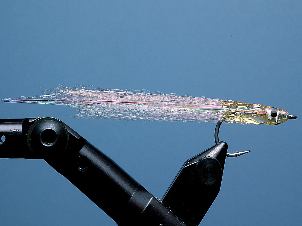 Popovic's Surf Candy fly