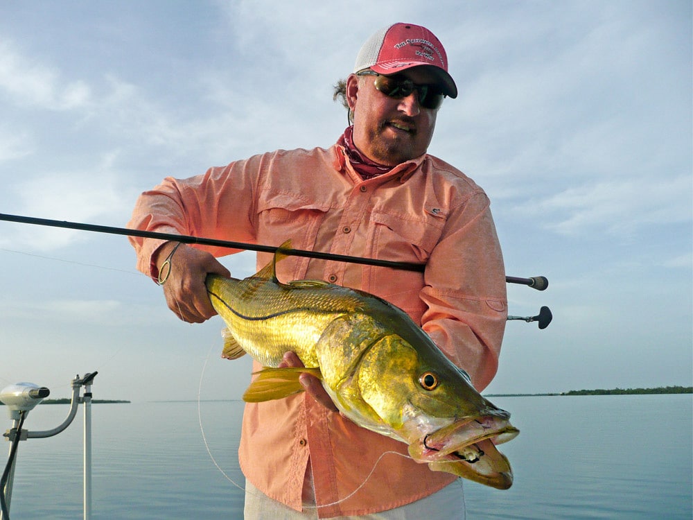 SW Florida Snook by Fabian Guerreo