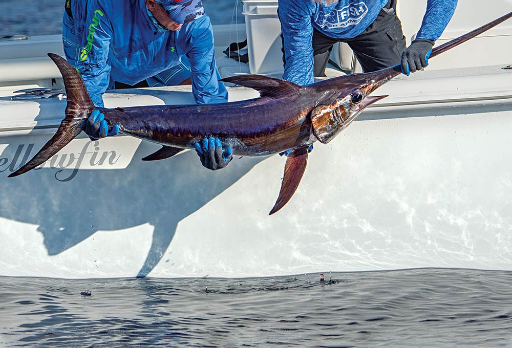 Swordfish help up boatside