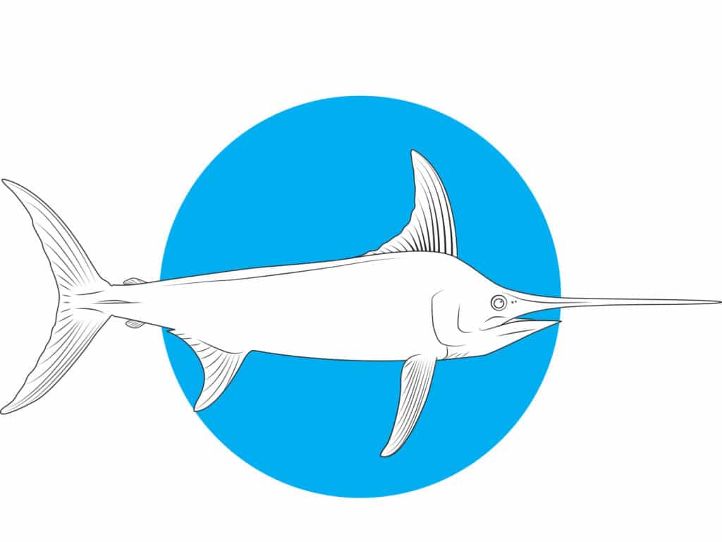 swordfish