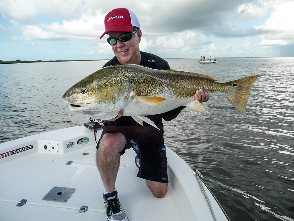 Bull redfish caught in Louisiana's shallows