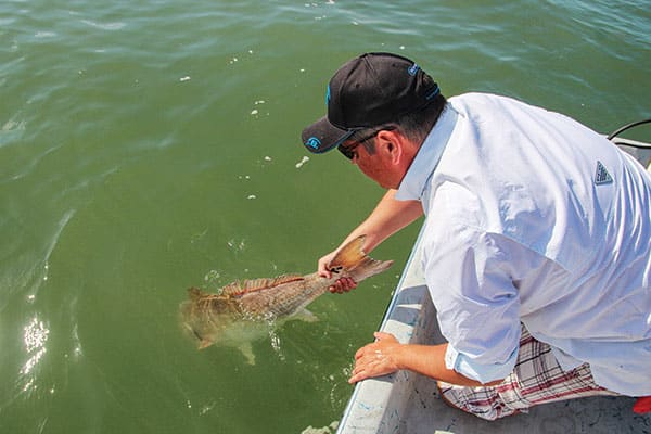 Texas trophy redfish