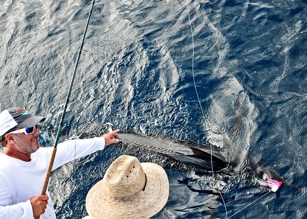 Marlin on Fly  Salt Water Sportsman