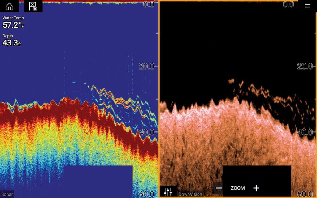 Identify Fish on Sonar