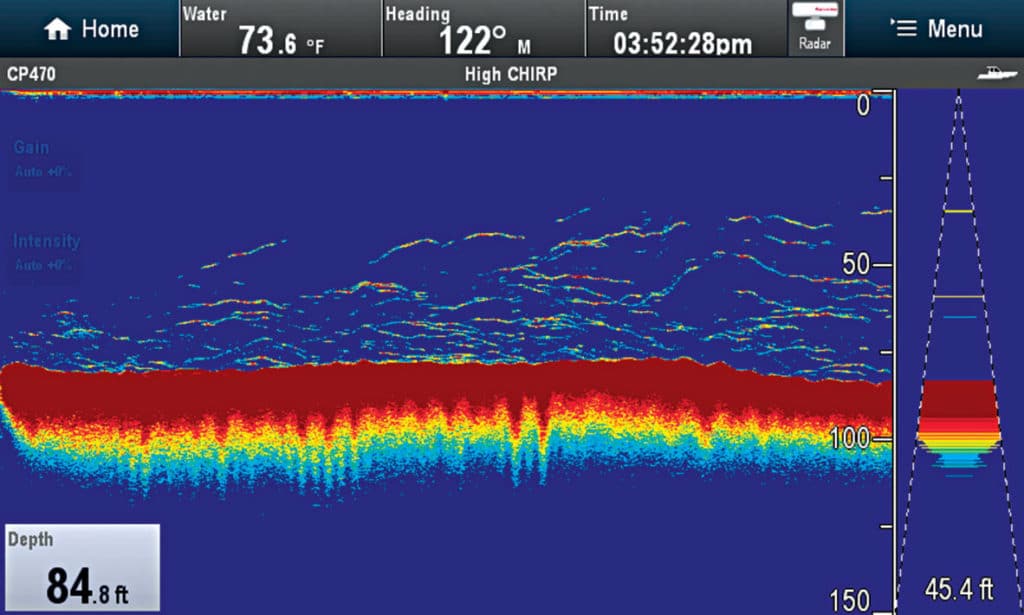 Identify Fish on Sonar