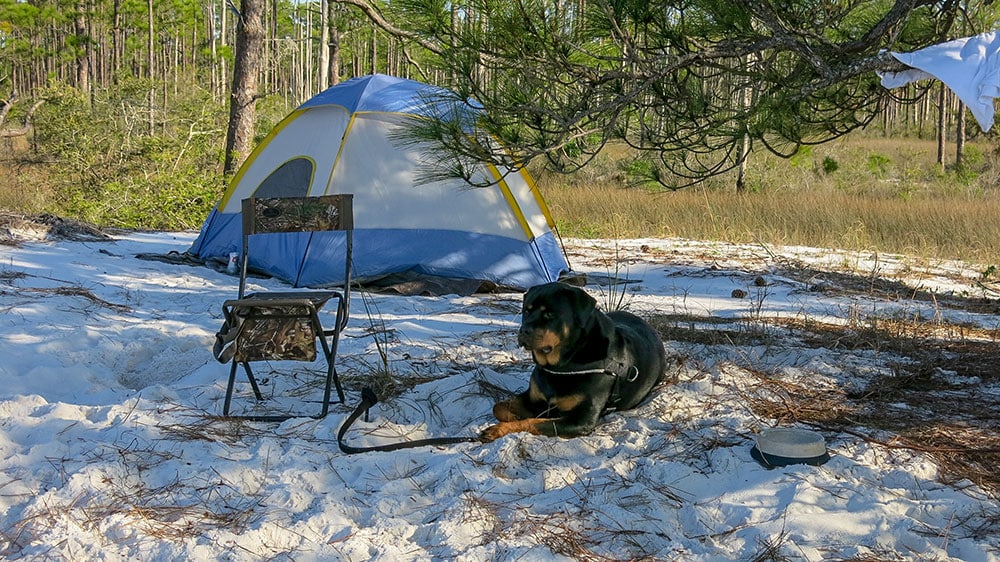 Boat Camping Tips