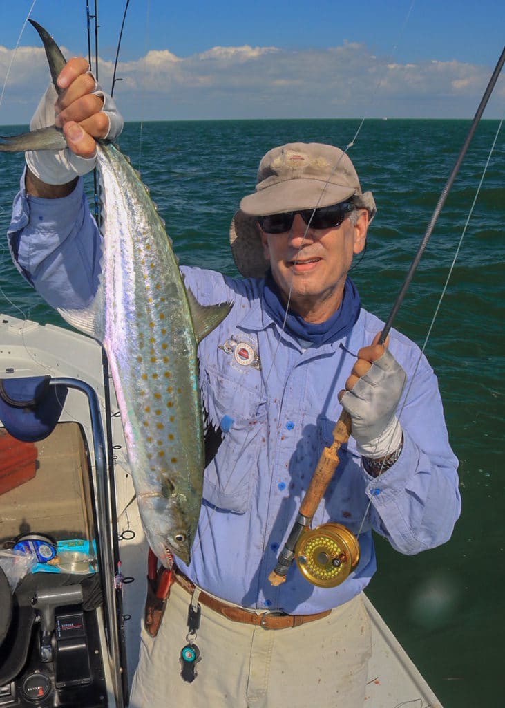 Spanish mackerel on fly