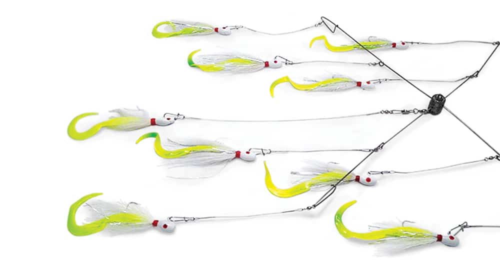 Best Rigs for Striped Bass