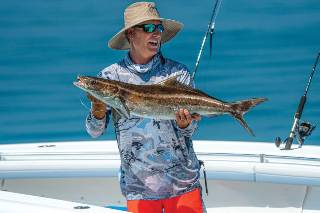 Alabama cobia being held for measuring