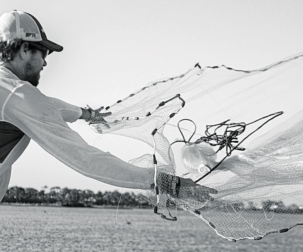 Cast-netting for cobia bait