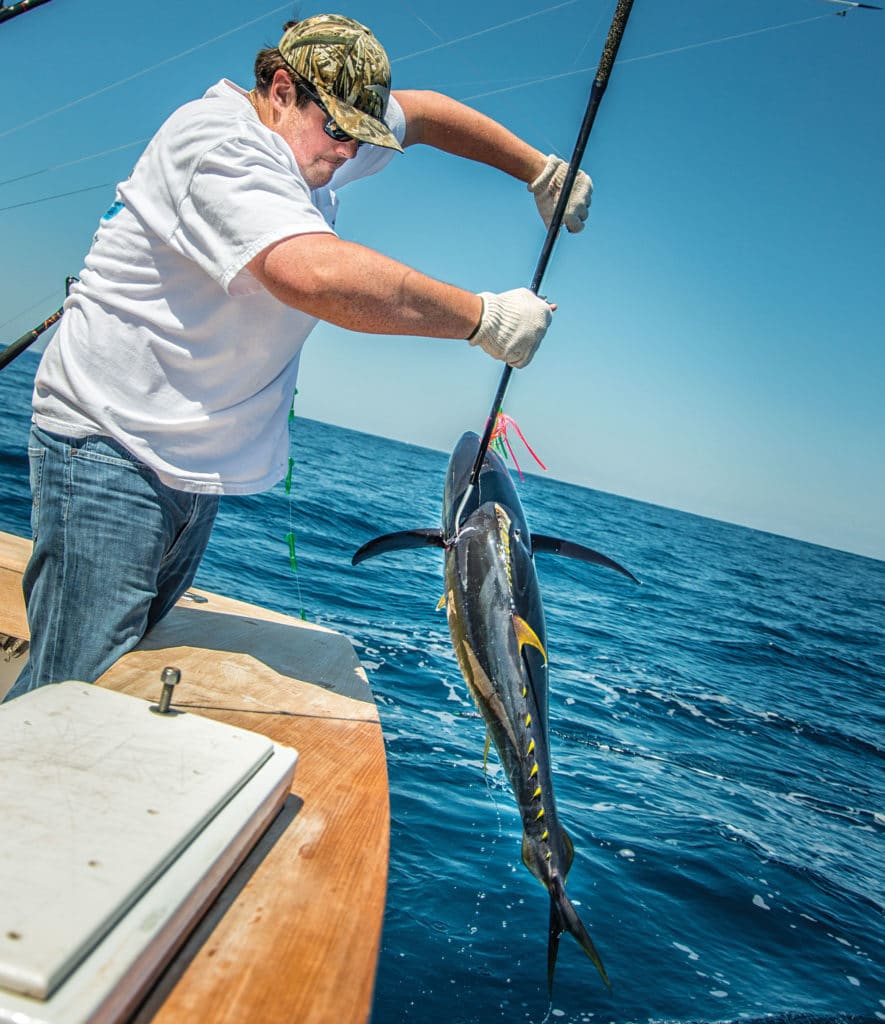 Gaffer pulls up yellowfin tuna