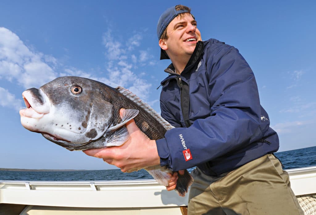 Inshore tautog caught on a crustacean