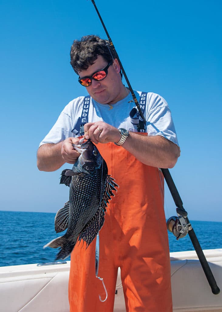 Black Sea Bass on Light Tackle