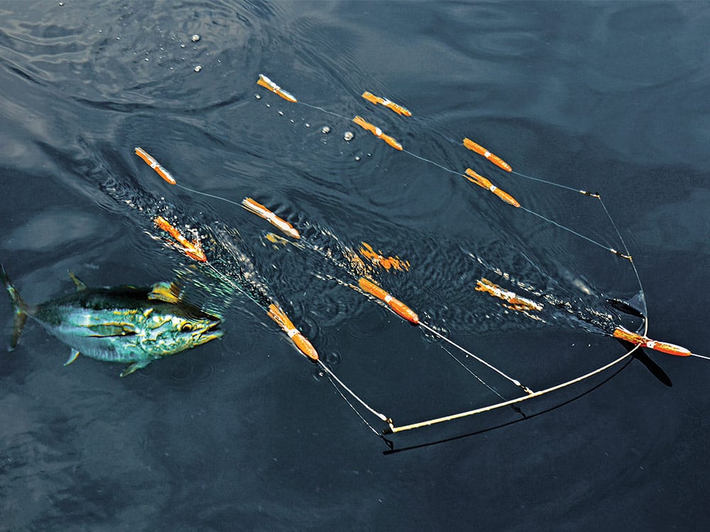 www.saltwatersportsman.com