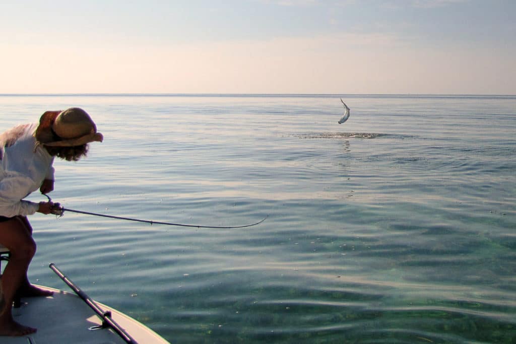 tarpon fishing in Florida