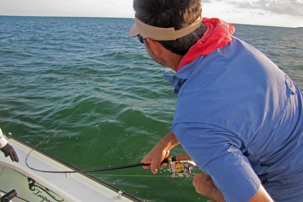 tarpon fishing in Florida