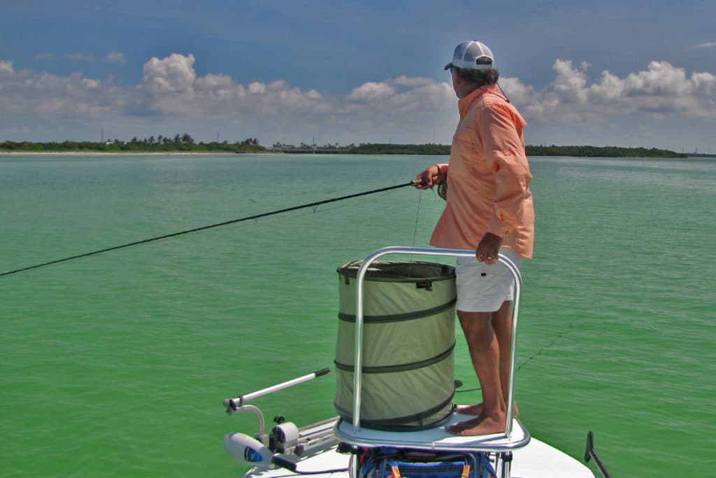 tarpon fishing in Florida