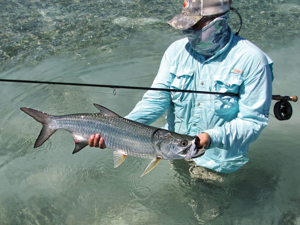 Schools of 10- to 15-pound tarpon eagerly accept properly presented flies.